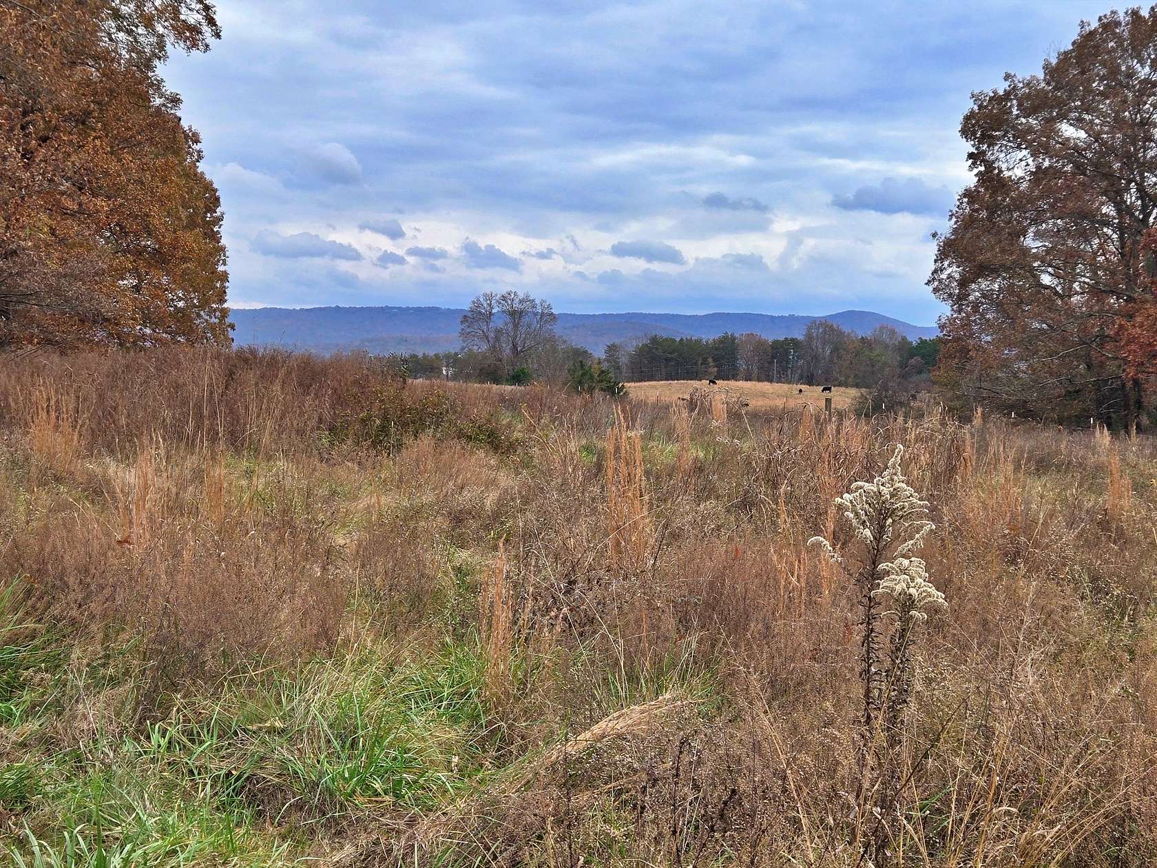 3.45 Acres of Residential Land for Sale in Rock Island, Tennessee