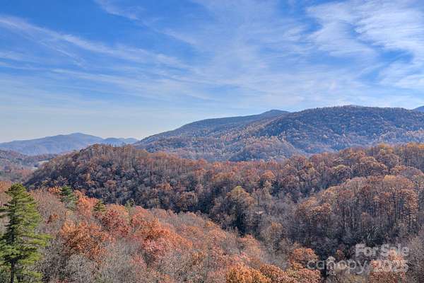 58.5 Acres of Recreational Land for Sale in Fairview, North Carolina