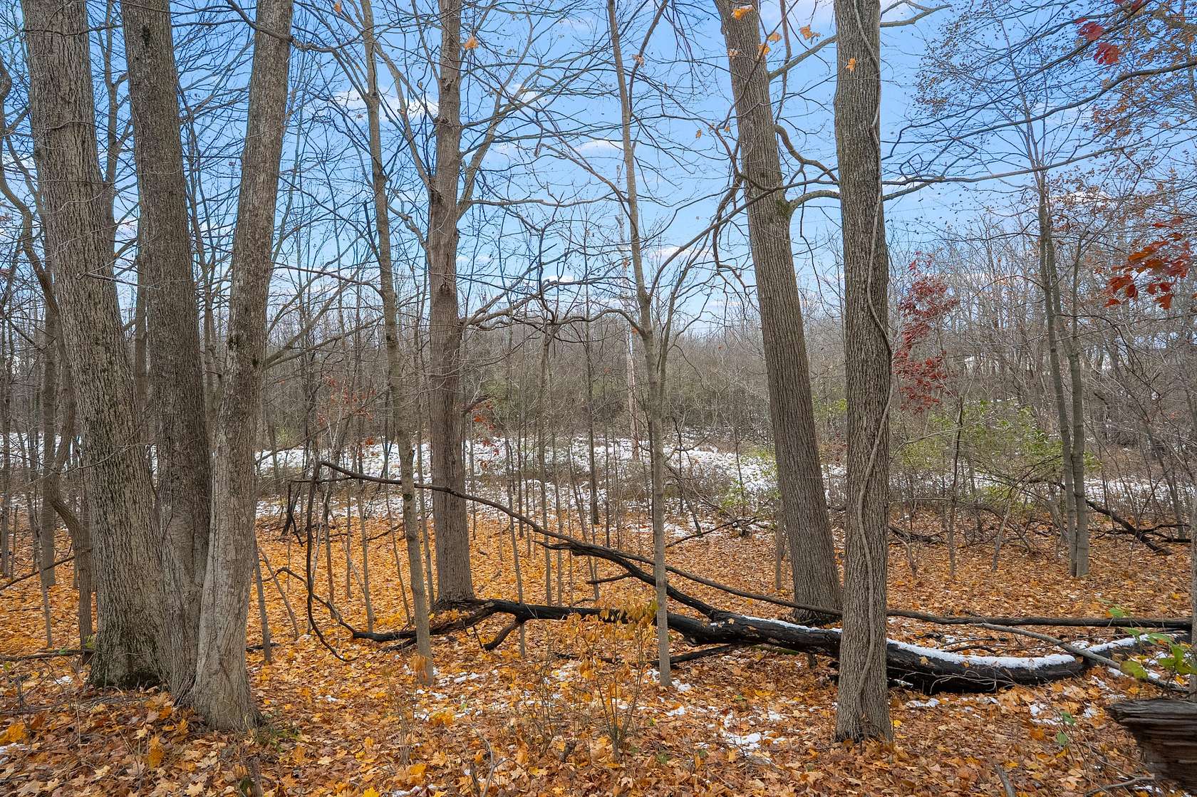 13 Acres of Land for Sale in Lawton, Michigan