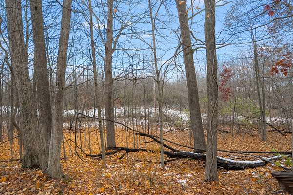 13 Acres of Land for Sale in Lawton, Michigan