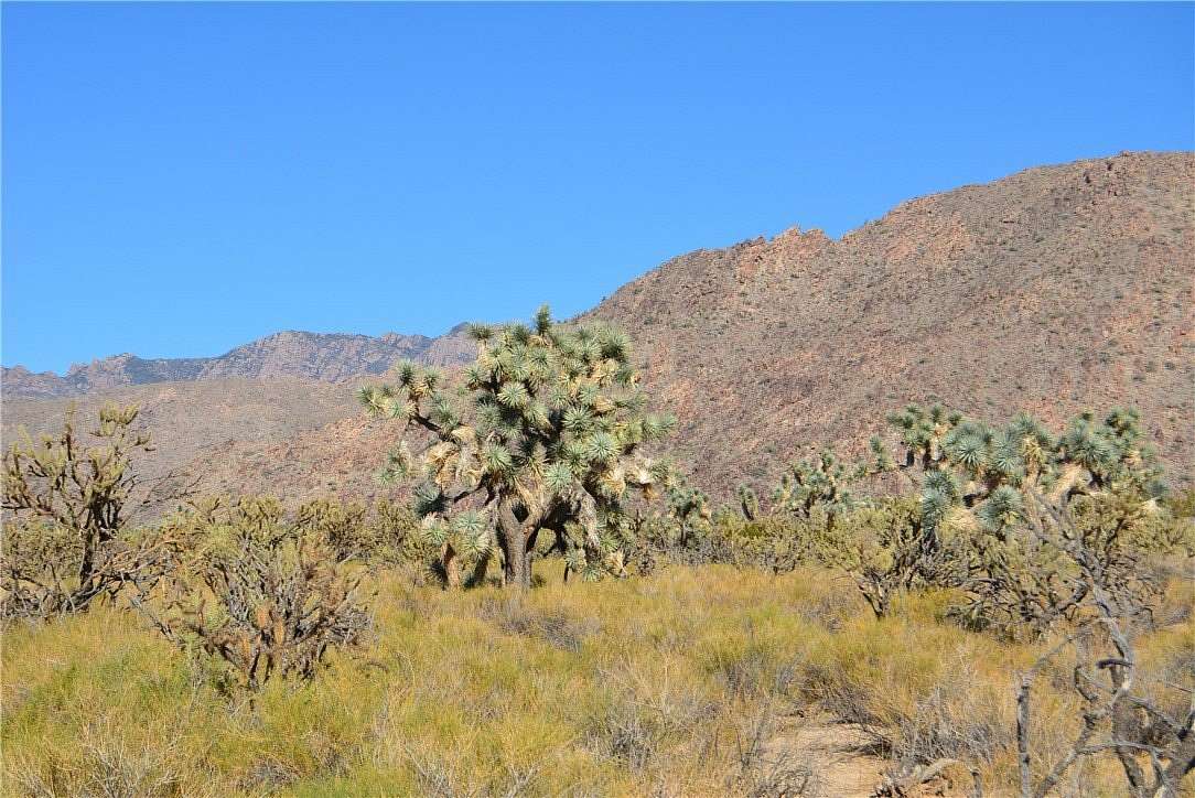 2.27 Acres of Residential Land for Sale in Yucca, Arizona