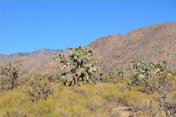 2.27 Acres of Residential Land for Sale in Yucca, Arizona