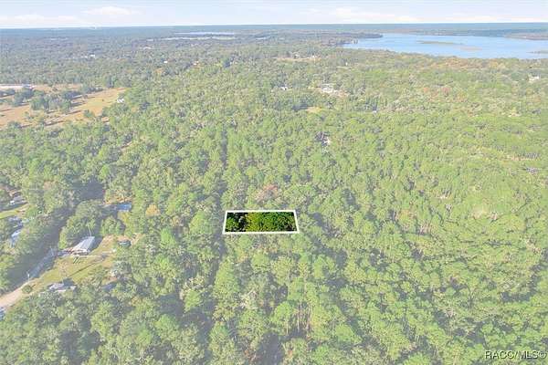 0.24 Acres of Residential Land for Sale in Dunnellon, Florida