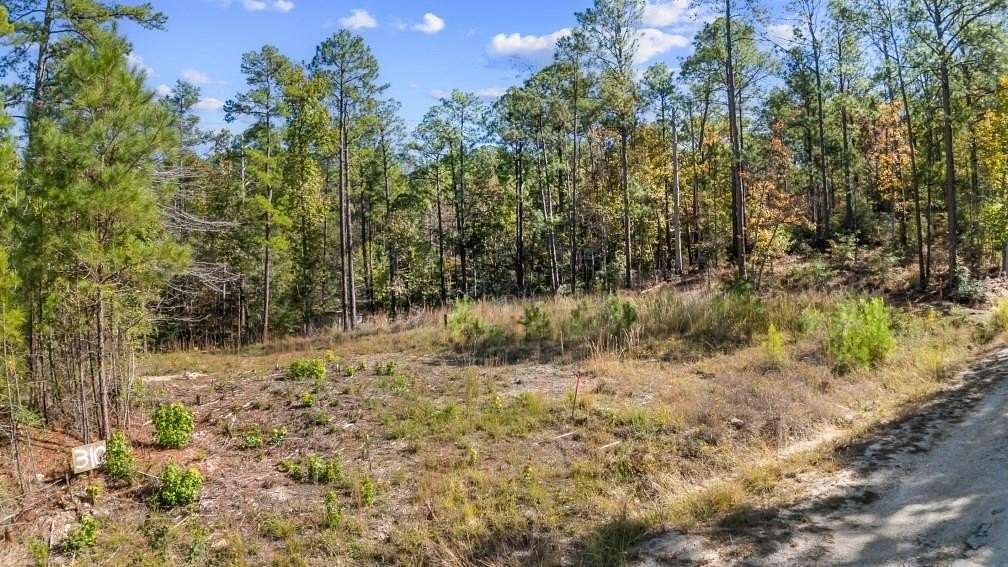 0.37 Acres of Residential Land for Sale in Brookeland, Texas
