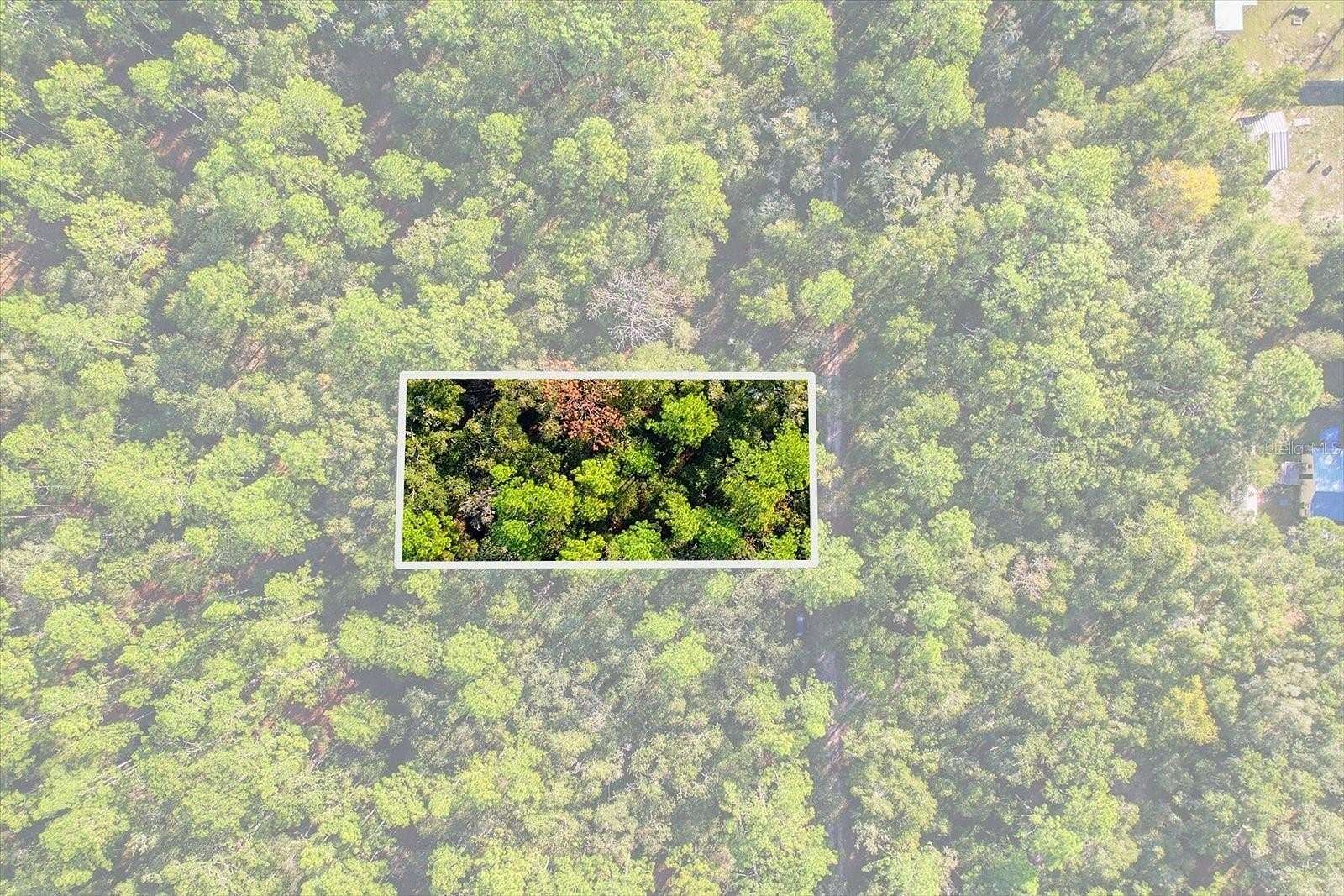 0.24 Acres of Residential Land for Sale in Dunnellon, Florida