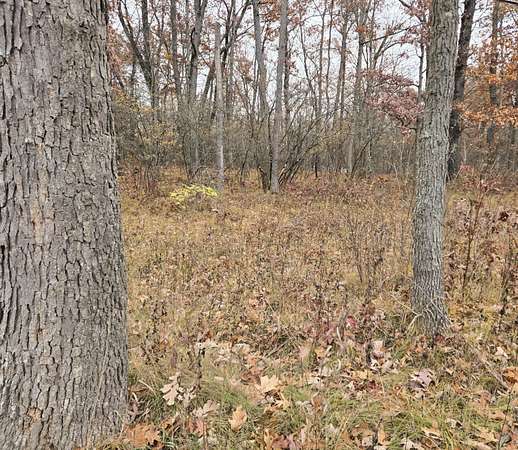 1.37 Acres of Land for Sale in Bitely, Michigan