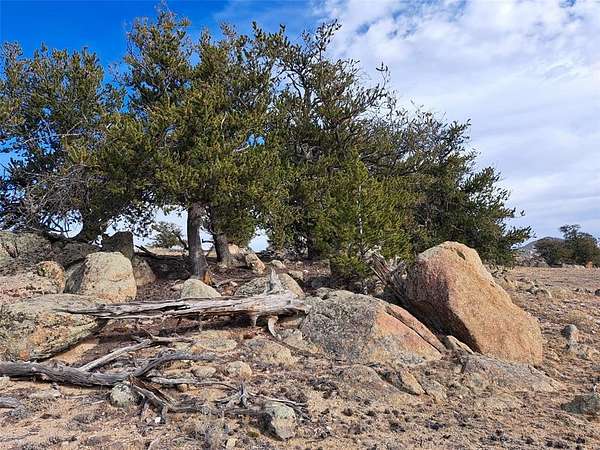 40 Acres of Recreational Land for Sale in Hartsel, Colorado