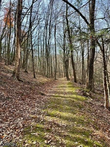 26 Acres of Recreational Land for Sale in Stillwater Township, New Jersey