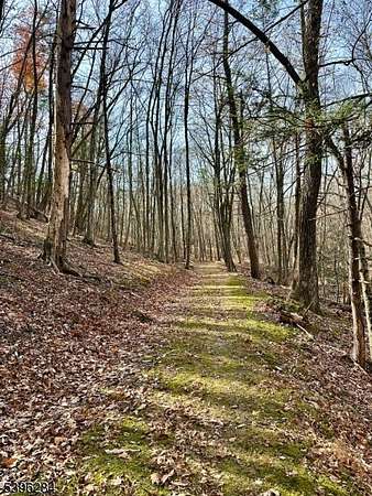 26 Acres of Recreational Land for Sale in Stillwater Township, New Jersey