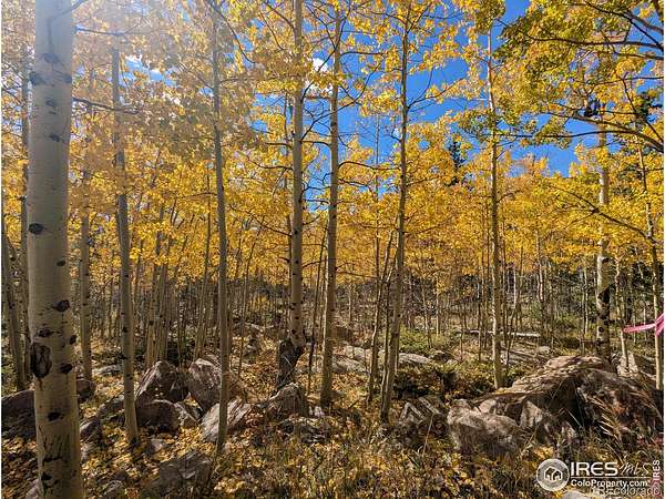 80.7 Acres of Recreational Land for Sale in Red Feather Lakes, Colorado