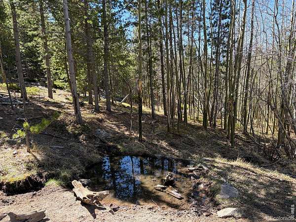 80.7 Acres of Recreational Land for Sale in Red Feather Lakes, Colorado
