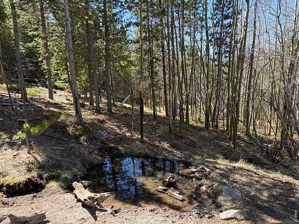 80.7 Acres of Recreational Land for Sale in Red Feather Lakes, Colorado