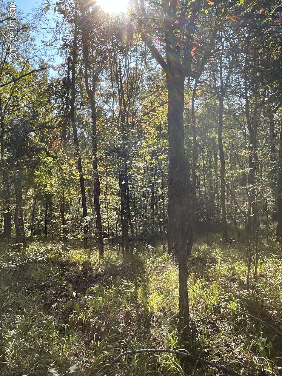 167 Acres of Recreational Land for Sale in Carrollton, Mississippi