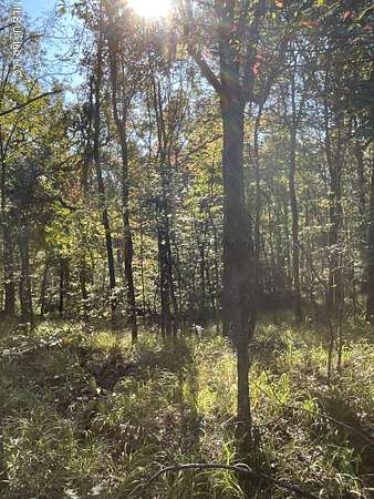 167 Acres of Recreational Land for Sale in Carrollton, Mississippi