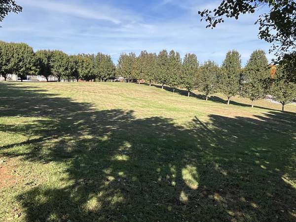 0.99 Acres of Residential Land for Sale in Columbia, Kentucky