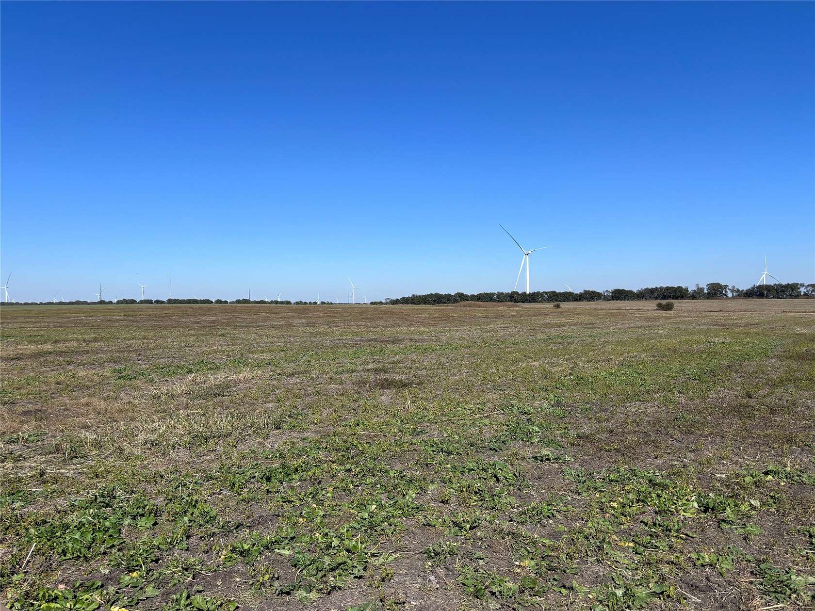 1.82 Acres of Residential Land for Sale in Mart, Texas