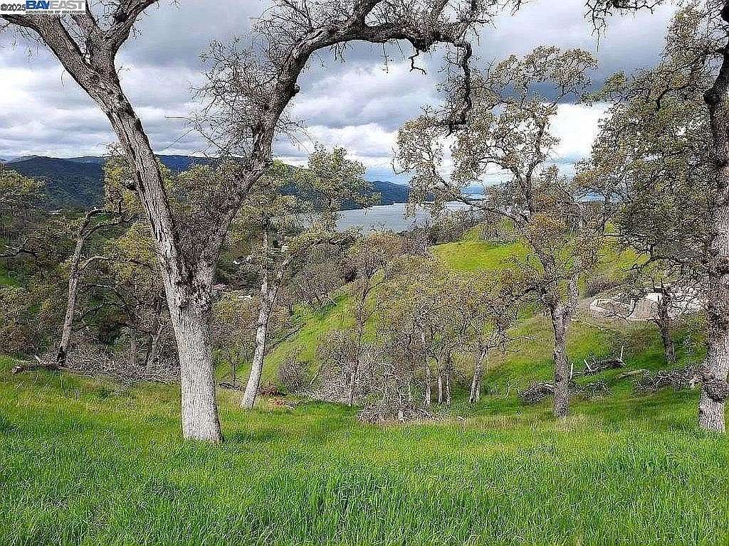 0.3 Acres of Residential Land for Sale in Napa, California