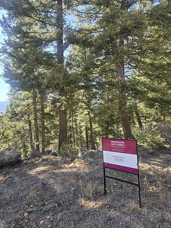 1.56 Acres of Residential Land for Sale in Angel Fire, New Mexico