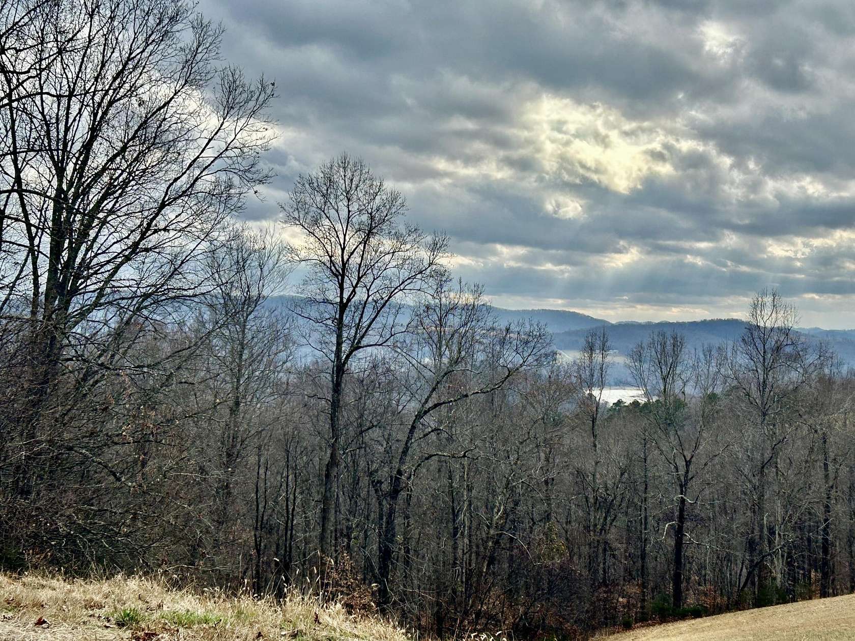 15 Acres of Land for Sale in New Tazewell, Tennessee