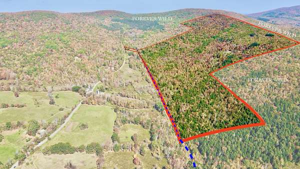 160 Acres of Land for Sale in Windham, New York