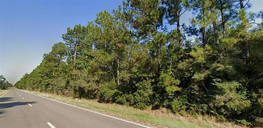 40 Acres of Recreational Land for Sale in DeRidder, Louisiana