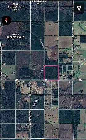 40 Acres of Recreational Land for Sale in DeRidder, Louisiana