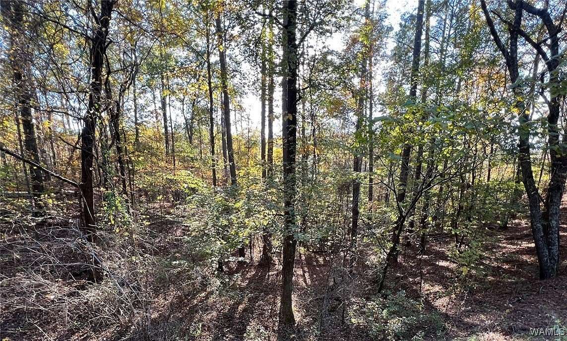 0.45 Acres of Land for Sale in McCalla, Alabama