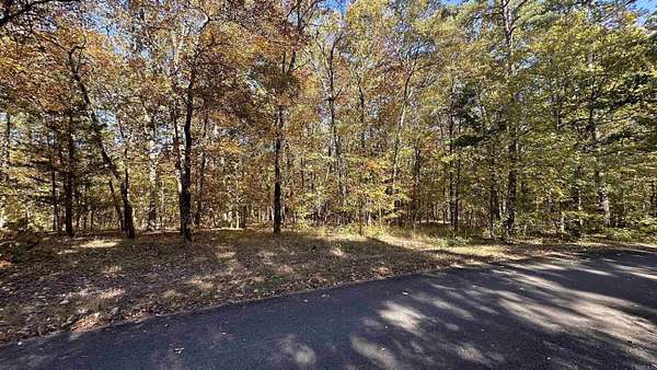 0.29 Acres of Residential Land for Sale in Hot Springs Village, Arkansas