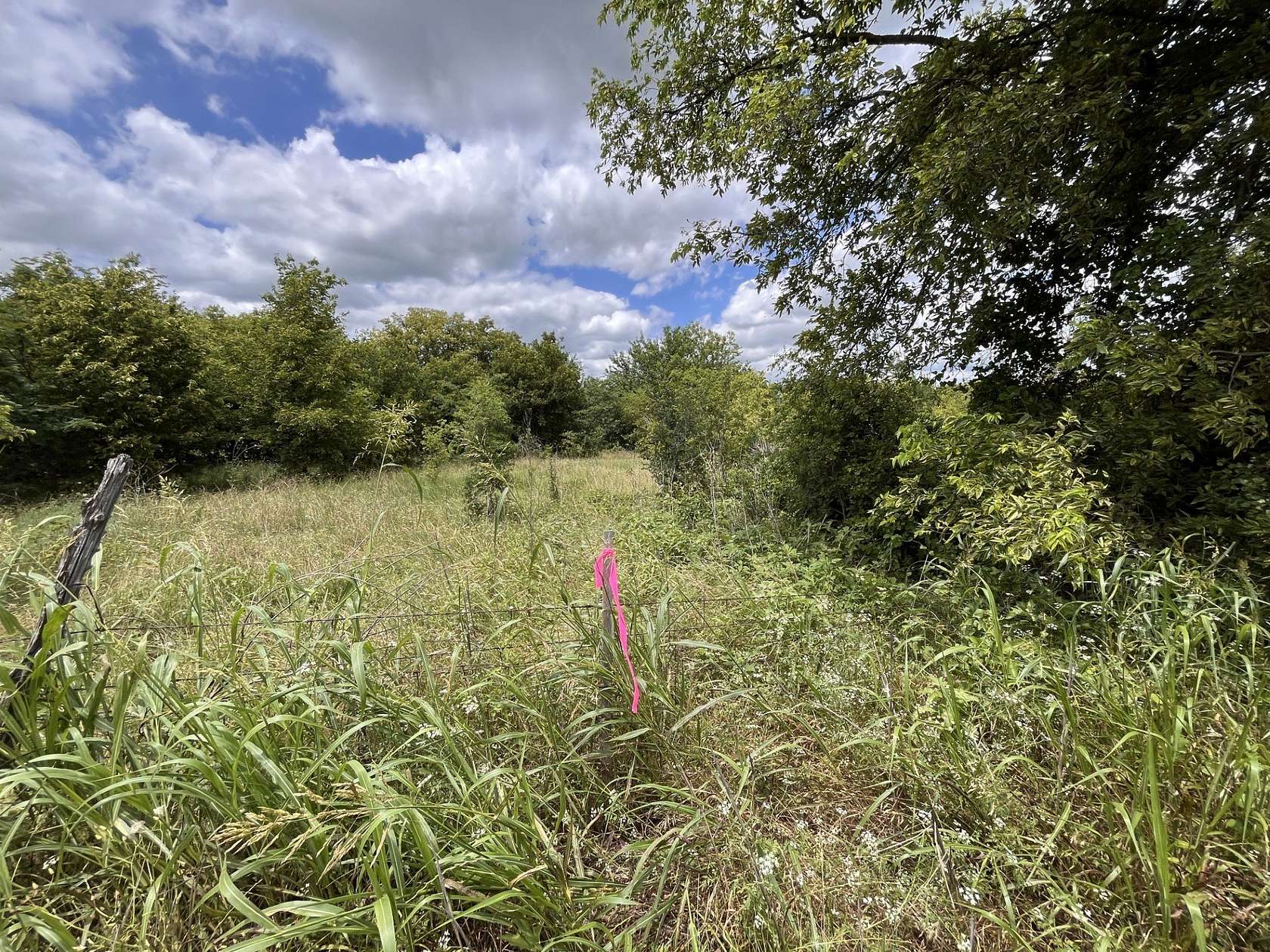 10 Acres of Land for Sale in Milford, Texas