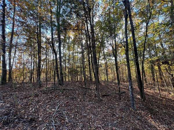 0.46 Acres of Land for Sale in McCalla, Alabama