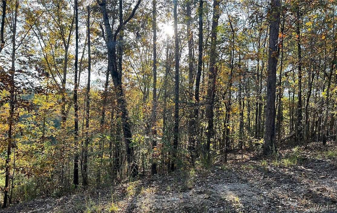 0.46 Acres of Land for Sale in McCalla, Alabama