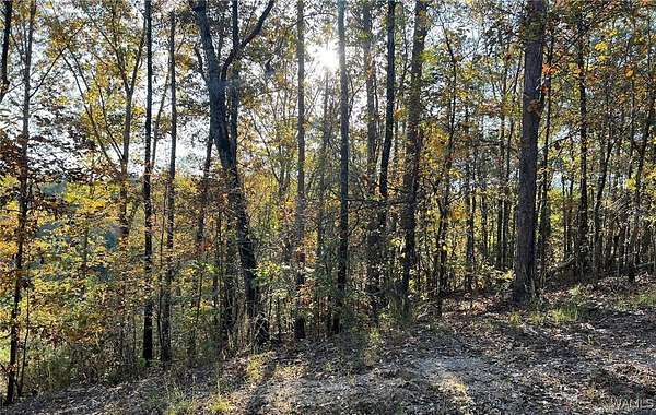 0.46 Acres of Land for Sale in McCalla, Alabama
