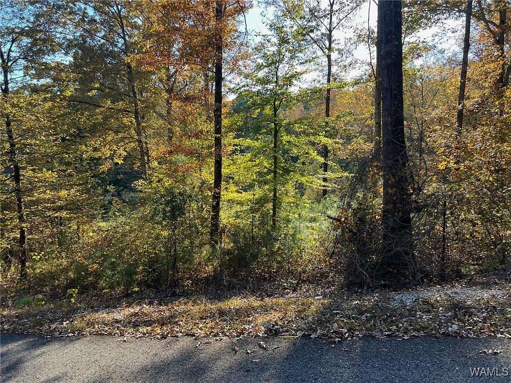 0.46 Acres of Land for Sale in McCalla, Alabama