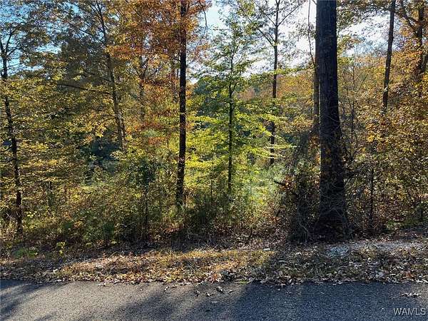 0.46 Acres of Land for Sale in McCalla, Alabama