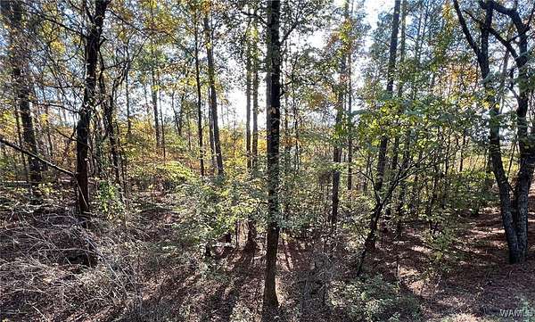 0.45 Acres of Land for Sale in McCalla, Alabama