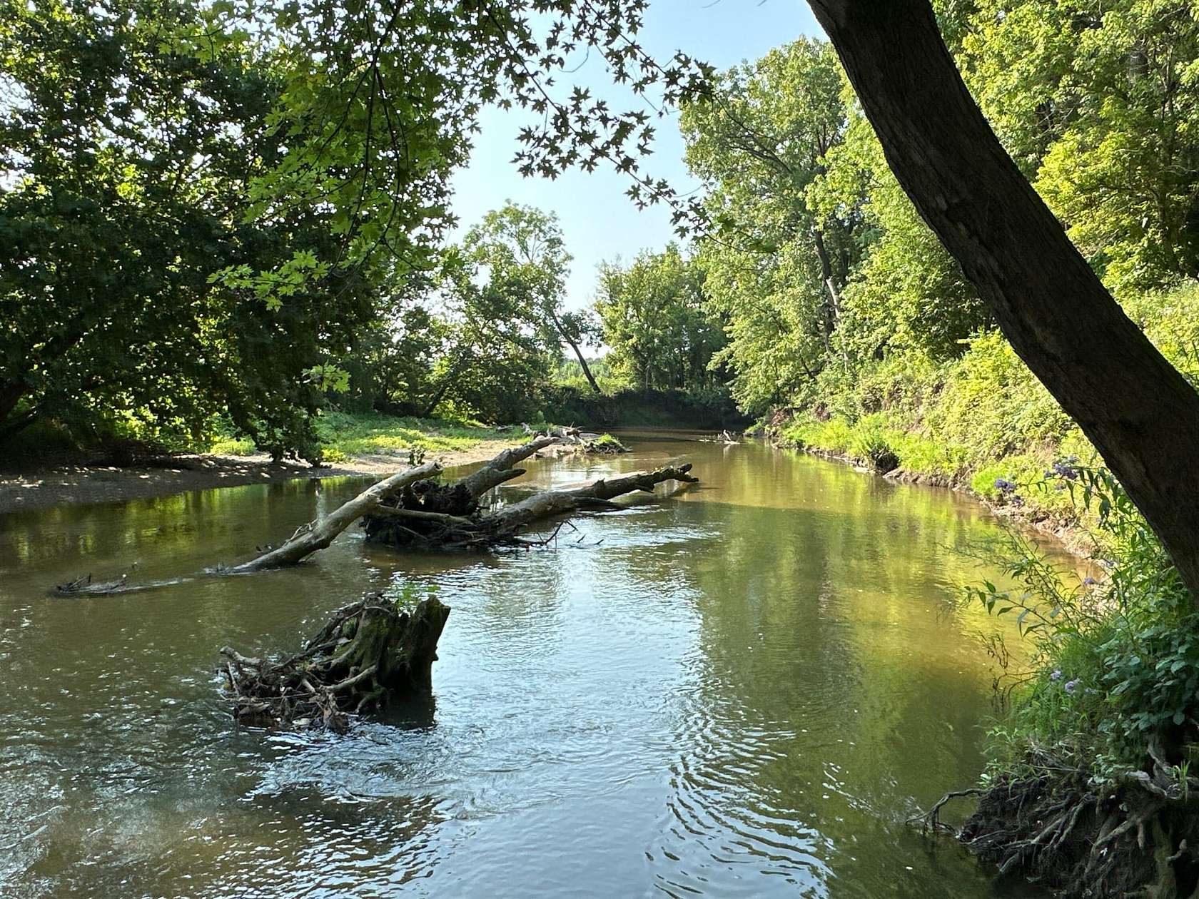 60.7 Acres of Land for Sale in Clinton, Indiana