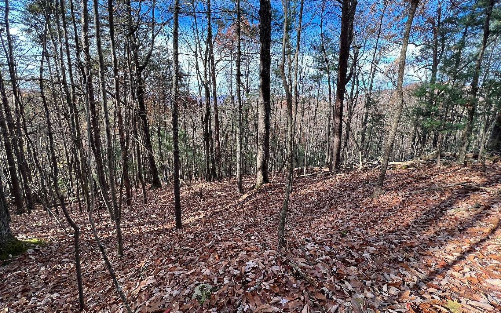 0.63 Acres of Residential Land for Sale in Ellijay, Georgia