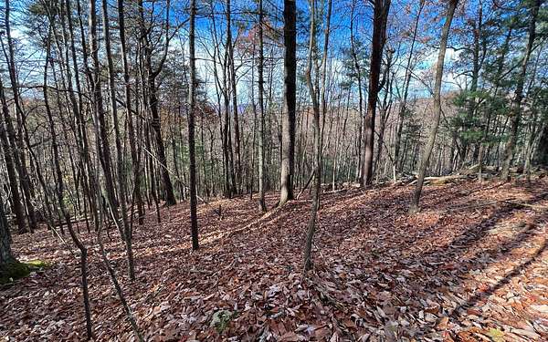 0.63 Acres of Residential Land for Sale in Ellijay, Georgia