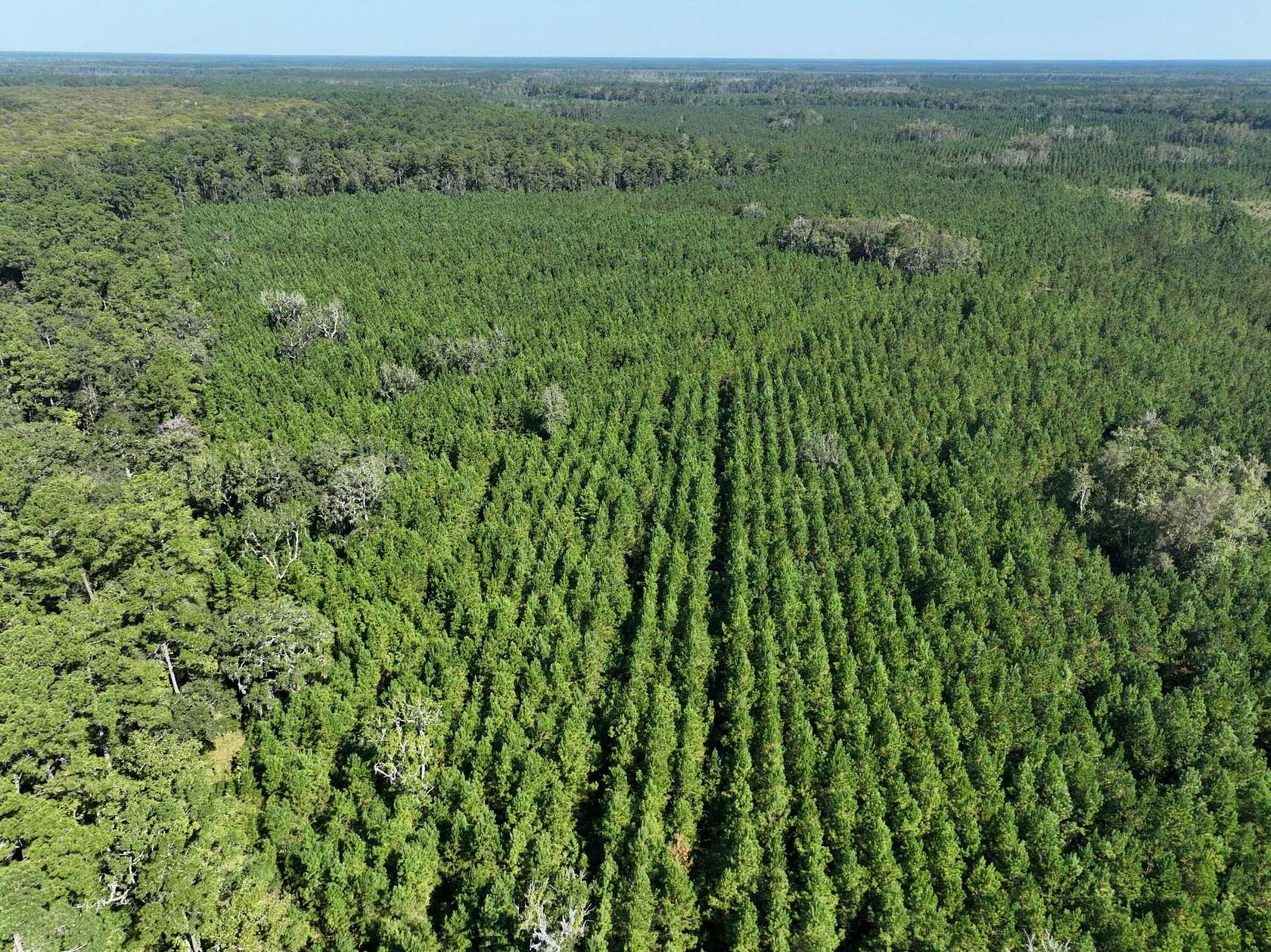 475 Acres of Recreational Land for Sale in White Oak, Georgia