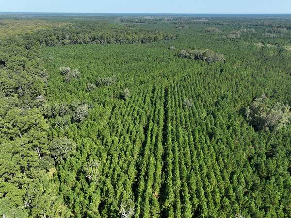 475 Acres of Recreational Land for Sale in White Oak, Georgia