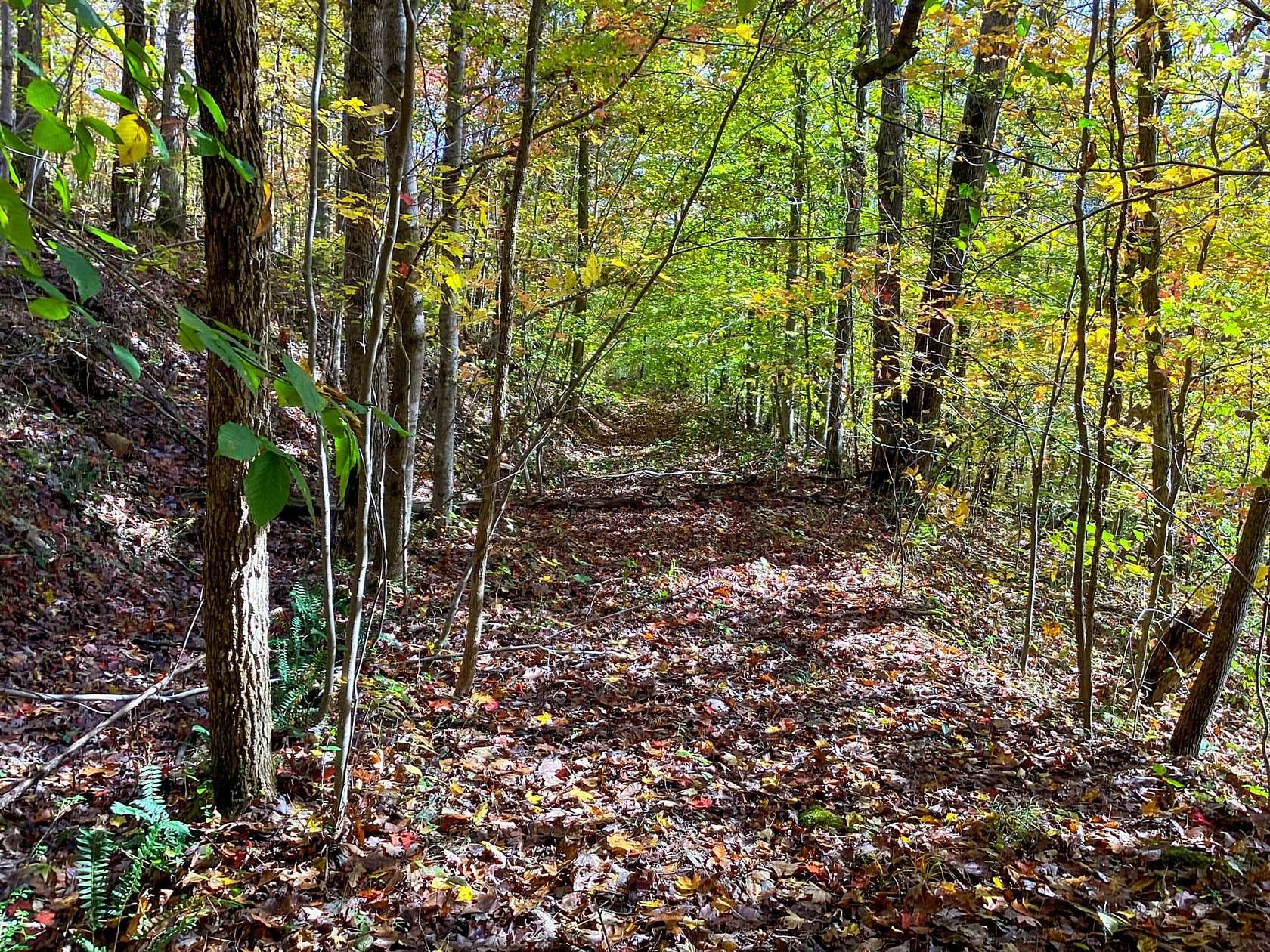 9.6 Acres of Recreational Land for Sale in Robbins, Tennessee