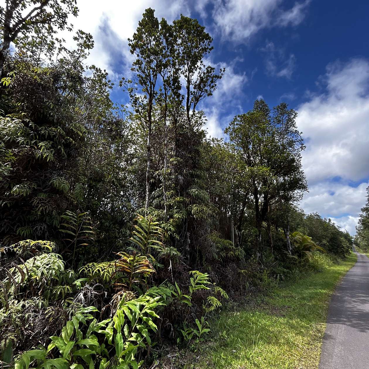 1 Acre of Land for Sale in Mountain View, Hawaii