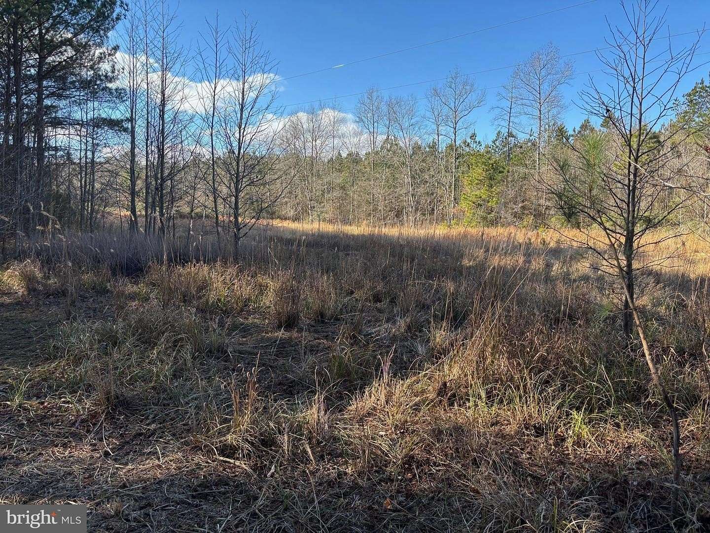10.2 Acres of Land for Sale in Dagsboro, Delaware