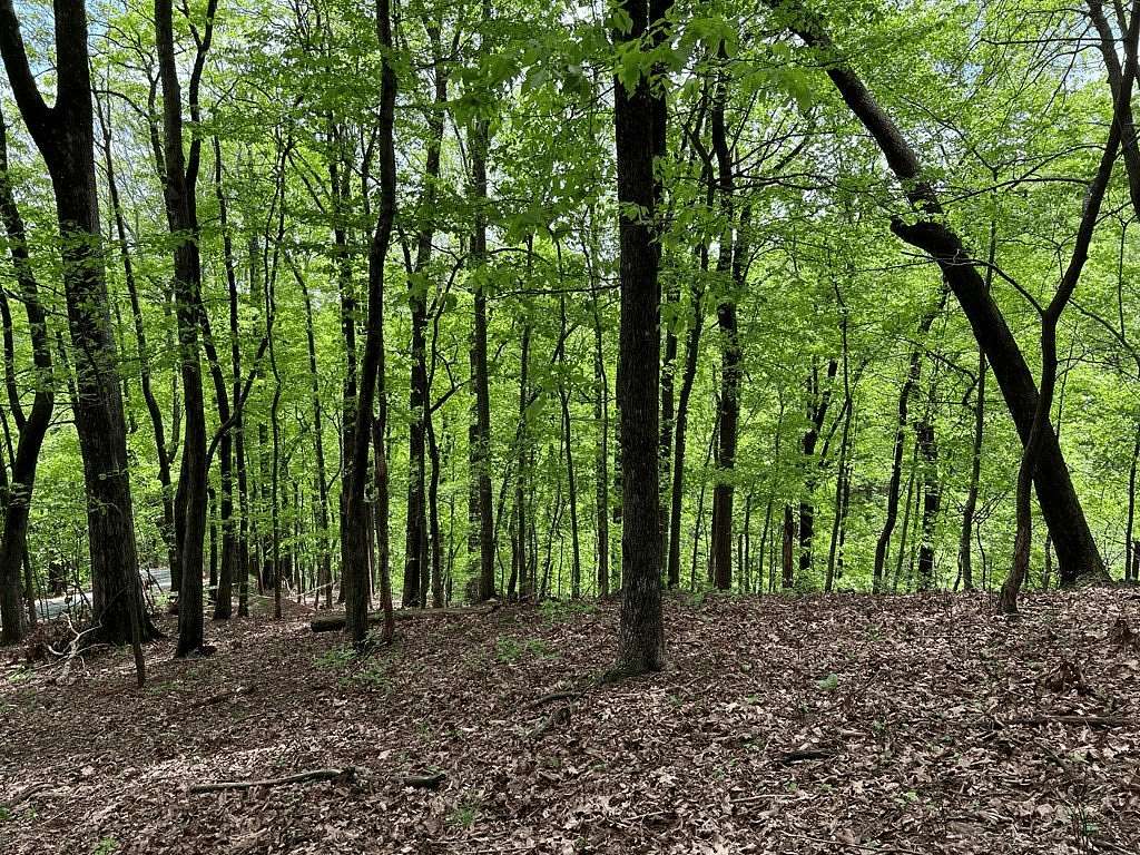 0.79 Acres of Residential Land for Sale in Big Canoe, Georgia