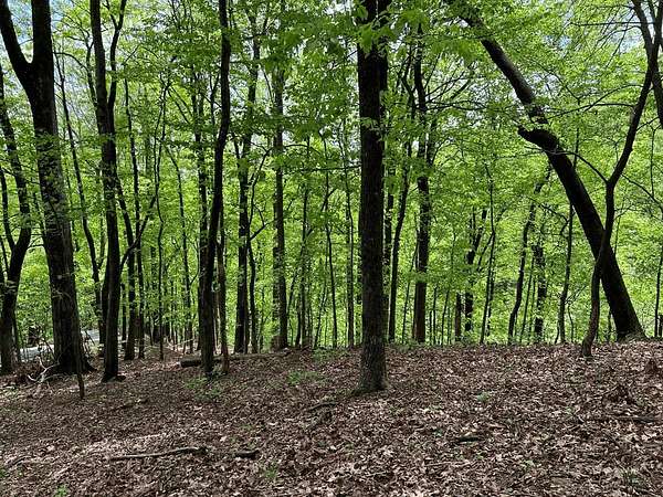 0.79 Acres of Residential Land for Sale in Big Canoe, Georgia