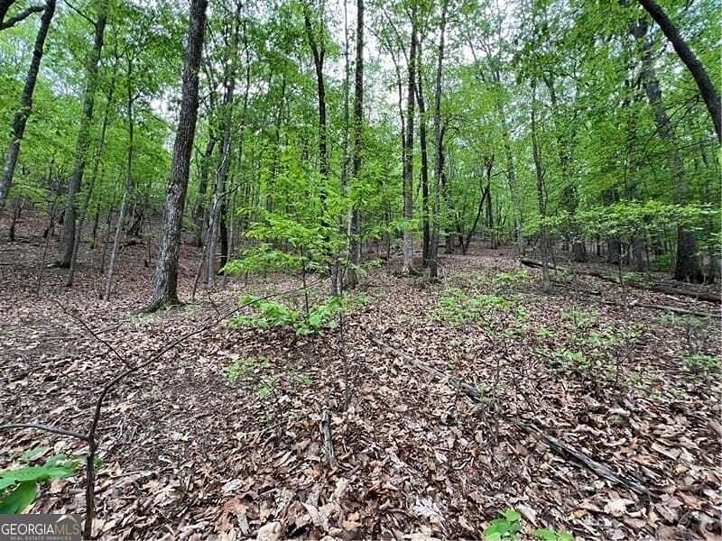 0.8 Acres of Residential Land for Sale in Big Canoe, Georgia