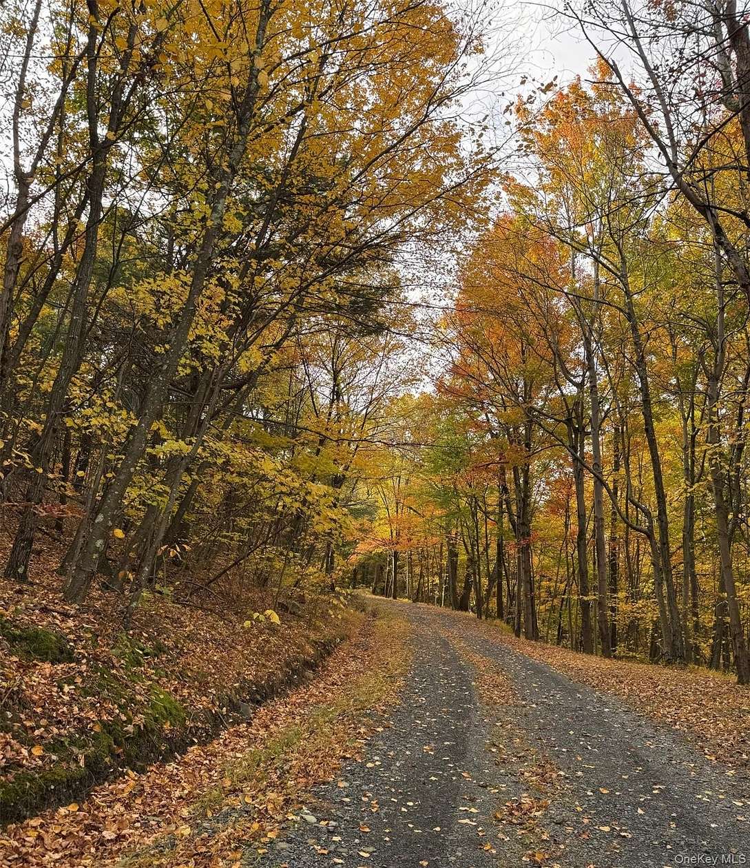 10 Acres of Land with Home for Sale in Stanfordville, New York