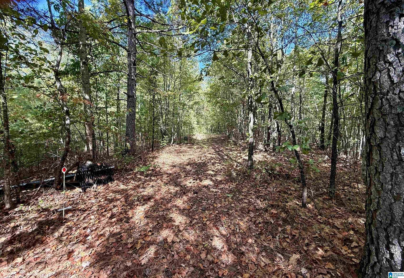 7.73 Acres of Residential Land with Home for Sale in Sylacauga, Alabama