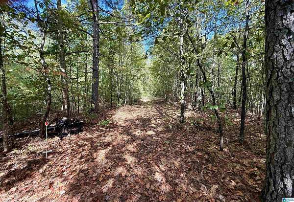 7.73 Acres of Residential Land with Home for Sale in Sylacauga, Alabama