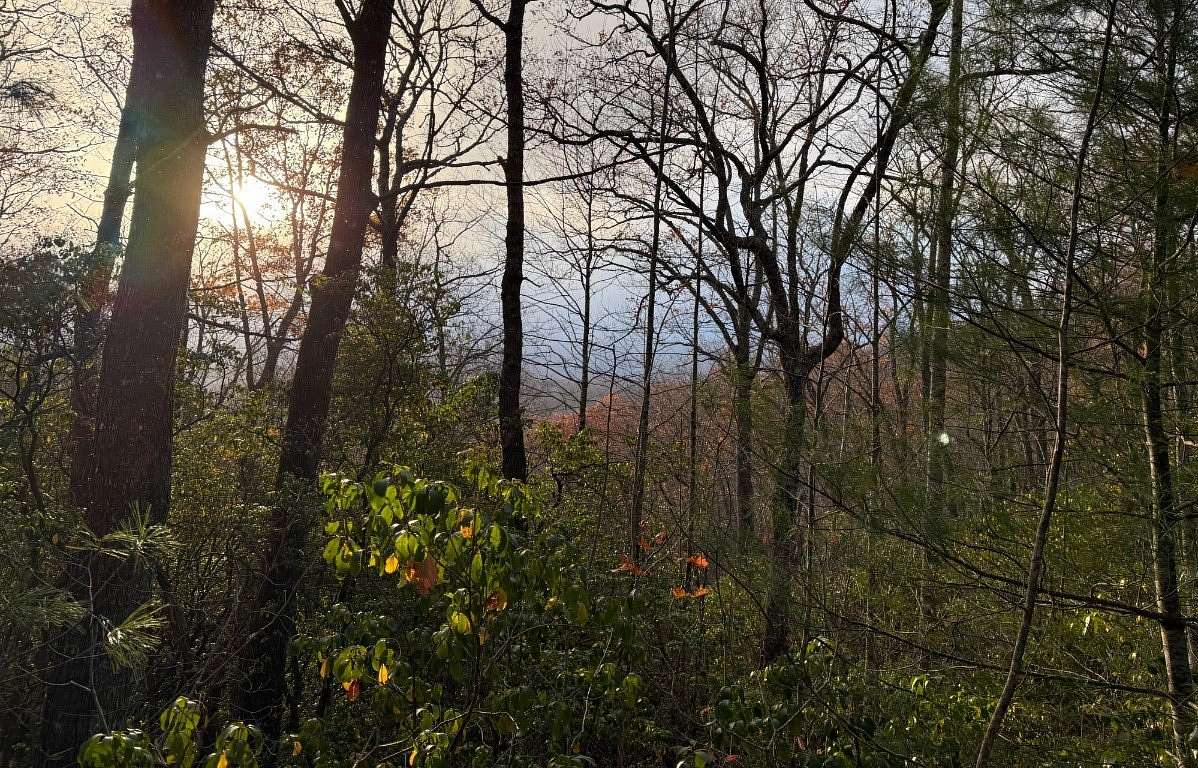 3.38 Acres of Land for Sale in Scaly Mountain, North Carolina